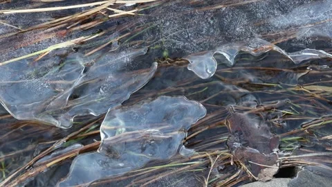 Stream and air bubbles flowing under ice, England, UK Video stock 297690892