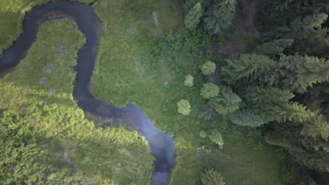 Stream and Beaver Dam Among Pines near Fruitland Utah Top Down Aerial Stock Footage 338305182