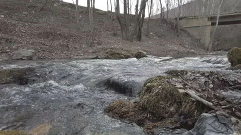 Stream and bridge and trees Stock Footage 237713922