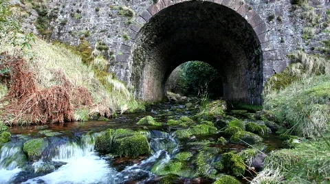 Stream and Bridge Video stock 681681