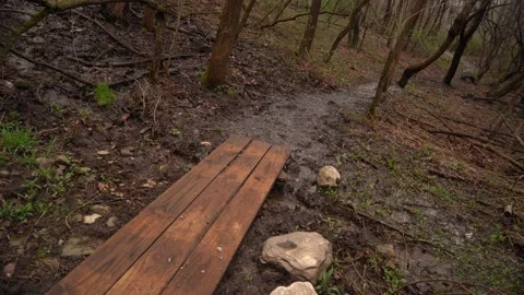 Stream and Bridge 動画素材 216241562