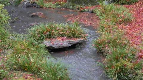 Stream and Fallen Leaves at Tenryuji Temple in Kyoto, Japan Stock Footage 45622525