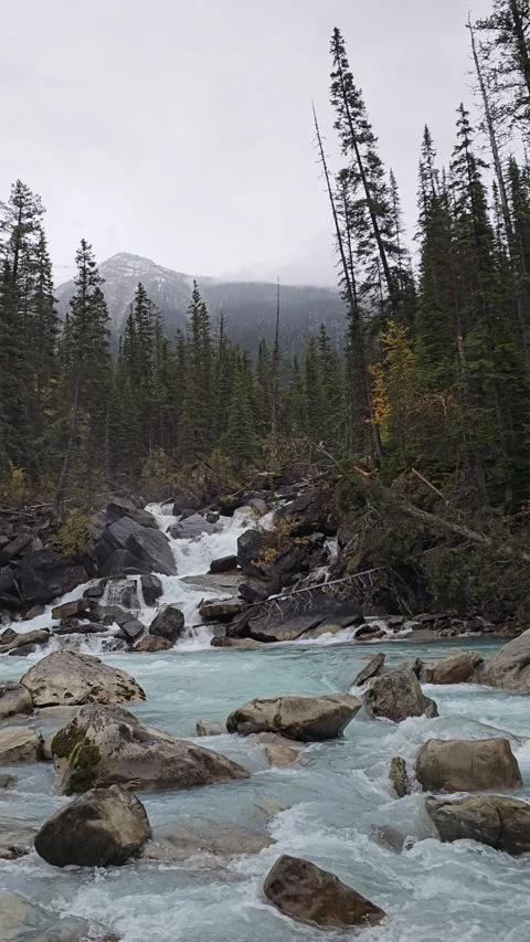 Stream and Falls 動画素材 295898015