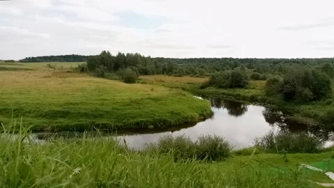 Stream and field on the Bank Stock Footage 145661291