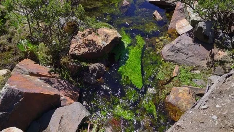 Stream and Mountains Stock Footage 73273945