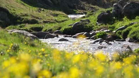 Stream and nature Stock Footage 294126782