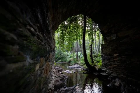 Stream and old stone bridge with tree in the middle of the hole Stock-Fotos