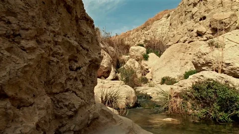 Stream and pool at top of ein gedi Stock Footage 74096014