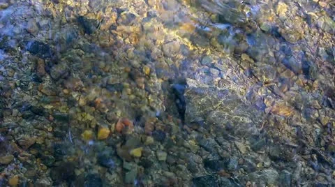 Stream and rock bottom Stock Footage 21996897