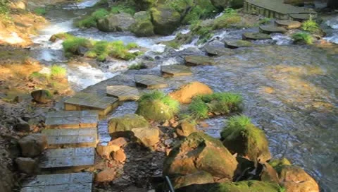 Stream And Rock Stock Footage 8908698