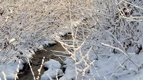 A stream and snow all around in Maramures, Romania. Video 4K Stock Footage 293151841
