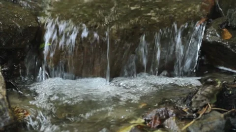 Stream and stones Stock Footage 8555921