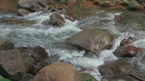 Stream and warterfall. river in the jungle Stockbeeldmateriaal 232967207