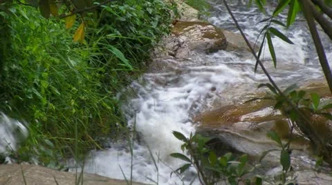Stream and Waterfall Stock Footage 11234818