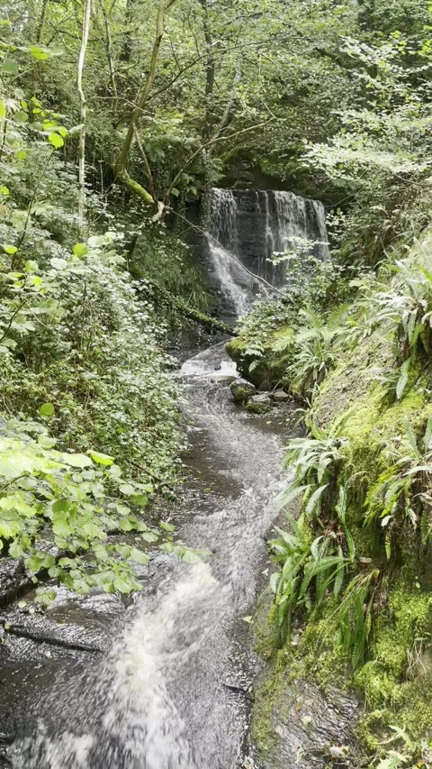 Stream and Waterfall Stock Footage 292506944