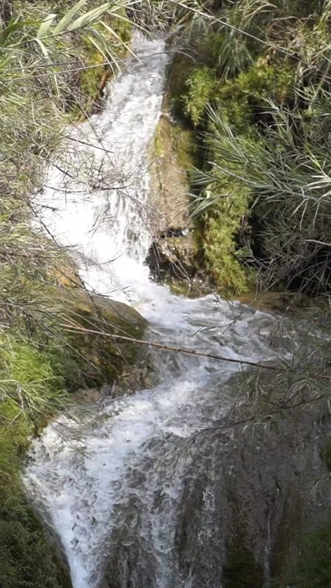 Stream And Waterfall - Vertical Footage Stock Footage 343437962