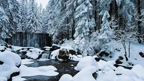 Stream and waterfall in winter among the trees covered by snow Video stock 235089981