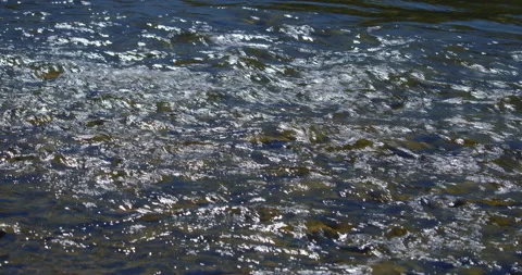 Stream and waves in the river's pebbles Stock Footage 130921703