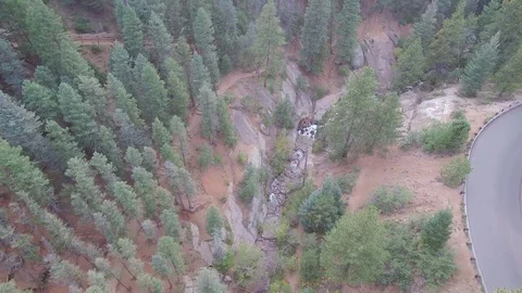 Stream and woods upstream Stock Footage 84961018