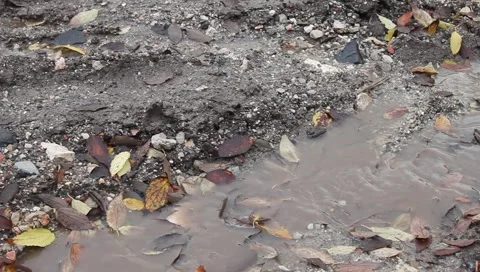 Stream Appearing Stock Footage 5298483