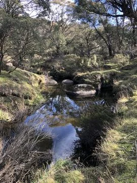 A stream in the Australian bush Stock Photos