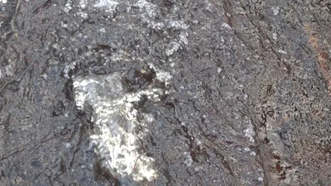 Stream in autumn forest. Stock Footage 98295330