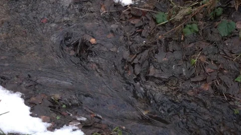Stream in autumn forest. Stock Footage 98304767