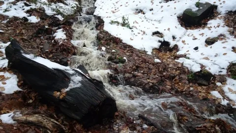 Stream in autumn forest. Stockbeeldmateriaal 98407488