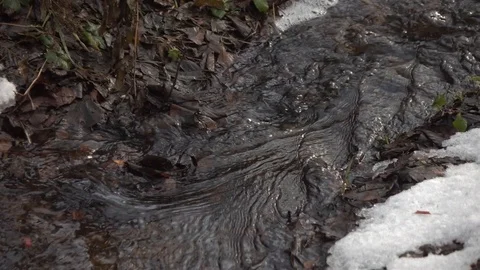 Stream in autumn forest. Stock Footage 98427686