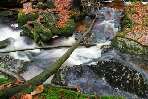 Stream in the autumn forest Stock Photos