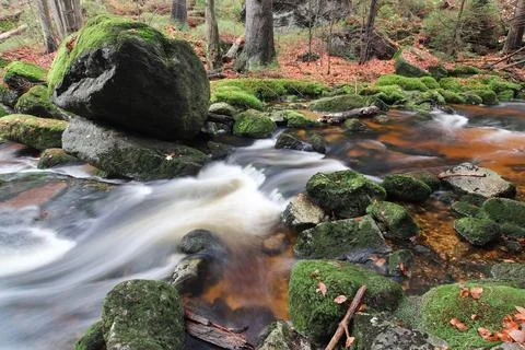 Stream in the autumn forest 写真素材