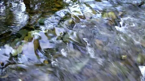 Stream in the autumn, it is fast this ice water will freeze Stock-Footage 10593757