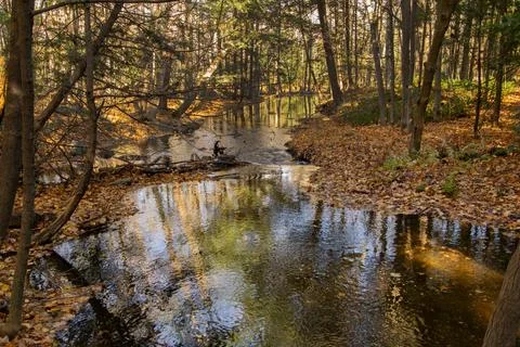 A stream in autumn. Stock Photos