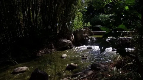 STREAM BABBLING BROOK 스톡 동영상 82575507