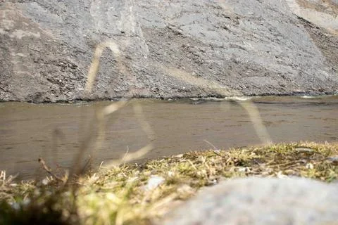 A Stream in the background with bush in front. Stock Photos