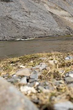 A Stream in the background with bush in front. Stock Photos