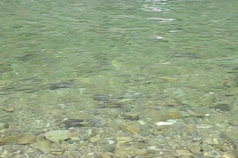 Stream Background Video stock 611493