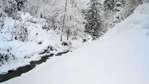 Stream banks and trees covered with snow in winter the Carpathians, Ukraine - 4K Stock Footage 172551689