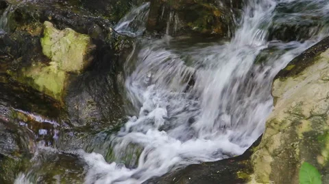 Stream in beautiful Spring Stock-Footage 3882542