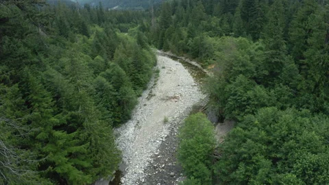 A stream bed in a forest Stock Footage 154925960