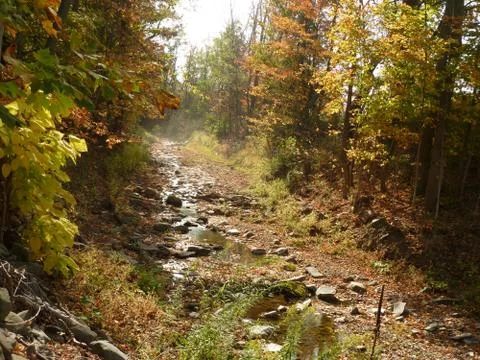Stream Bed Foto stock
