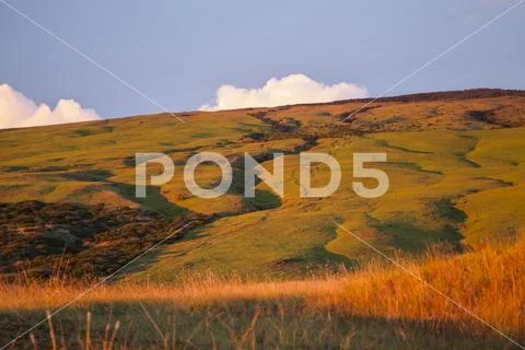 Stream beds on Parker Ranch land, Kohala Mountain Stock Photos