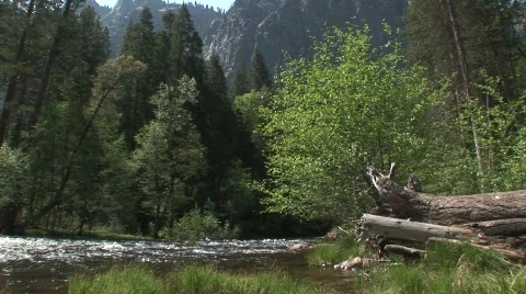 Stream below mountain Stock Footage 476107