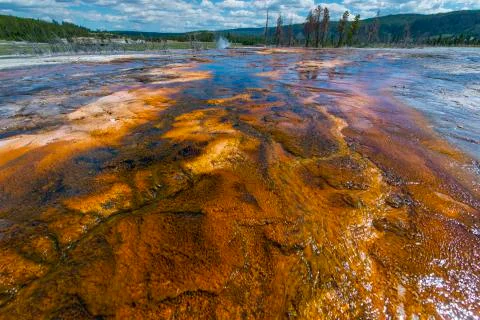 Stream below the sapphire pool Stock Photos