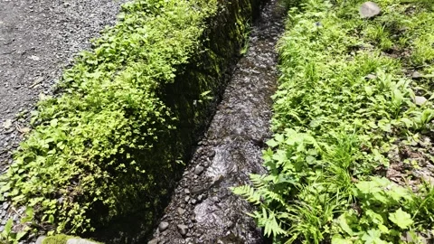 A Stream Beside the Grassland Stock Footage 321052294