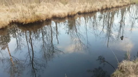 Stream between the lake Stock Footage 166720525