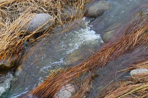 A stream between rocks and dry grass Foto stock
