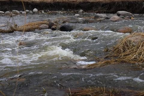 A stream between rocks and dry grass Foto stock