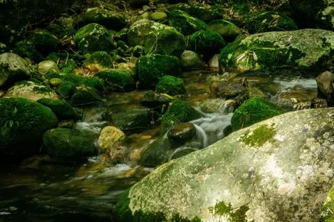 Stream between rocks covered in moss Stock Photos