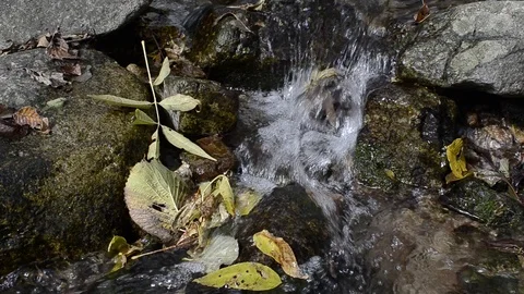 Stream between stones Stock Footage 104187675